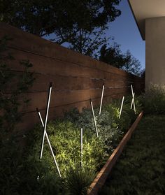 some lights that are in the grass by a fence and bushes at night time,