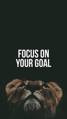 a lion with the words focus on your goal in front of it's face