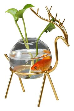 a goldfish in a fish bowl with a plant growing out of it