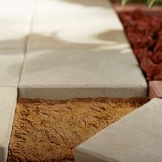 a plant is growing out of the ground next to some concrete blocks and dirt on the ground