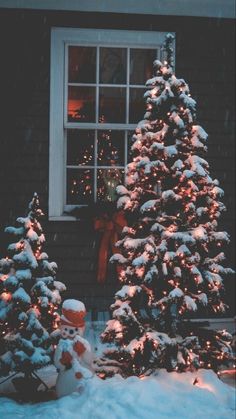 two snow covered trees in front of a window with lights on them and a red bow tied to the tree