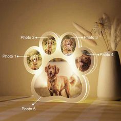 a dog's paw is shown in the center of an illuminated photo frame with four dogs on it