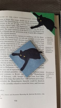 an open book with a black cat on it