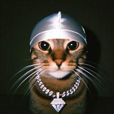 a cat wearing a silver helmet with a diamond on it's collar and chain around its neck