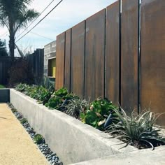 a concrete planter filled with succulents next to a fence and palm trees