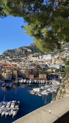 the boats are docked in the harbor next to the buildings and trees on the hill