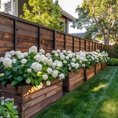 a row of wooden planters filled with white hydrangeas in front of a house