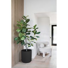 a plant in a white pot next to a chair