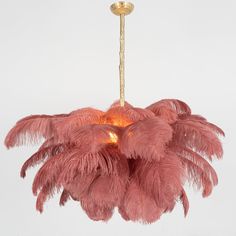 a pink feather chandelier hanging from a gold ceiling fixture with a white background