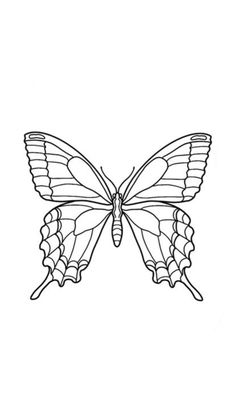 a drawing of a butterfly with wings spread out to the side, on a white background