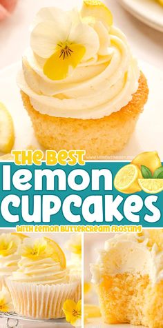 the best lemon cupcakes with lemon buttercream frosting