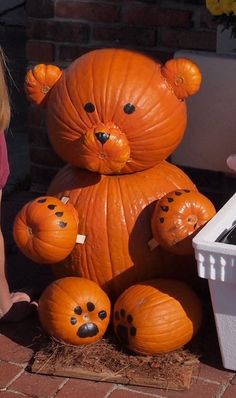 Teddy Bear Pumpkin Teddy Bear Pumpkin, Cute Painted Pumpkin Ideas, Bear Pumpkin, Halloween Pumpkin Crafts, Cute Pumpkin Carving, Halloween Pumpkin Carving Stencils