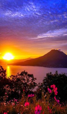 the sun is setting over a lake with pink flowers in front of it and mountains in the background