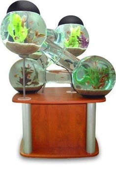 an aquarium with three fish in it on top of a wooden stand