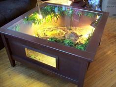 a turtle tank is sitting on top of a coffee table with plants growing out of it