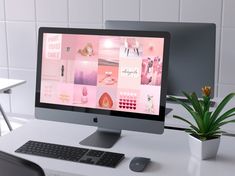 a computer monitor sitting on top of a desk next to a keyboard and mouse in front of a potted plant