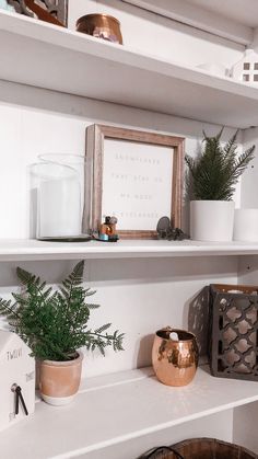 shelves with plants and candles on them