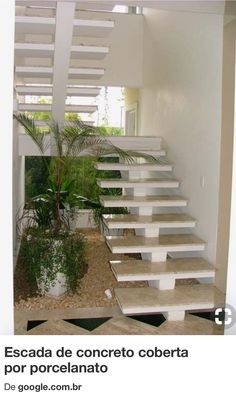 the stairs are white and have plants on them