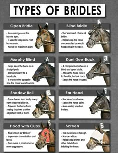 the types of bridles for horses