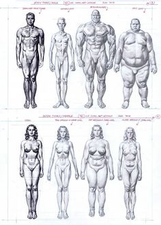 an image of different types of men and women in the same body shape, from top to bottom