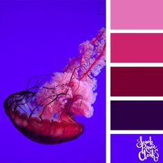 a jellyfish floating in the water with color swatches