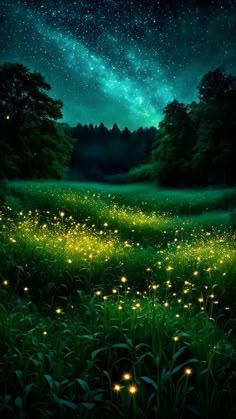 the night sky is filled with stars and green grass