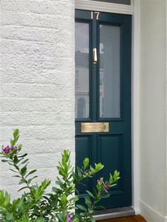 a green door and some plants in front of a white building with blue trim on it