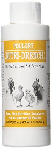 Nutri-Drench Poultry Solution 4 FL OZ : Amazon.ca: Grocery & Gourmet Food Pet Care Products, Day Old Chicks, Laying Hens, Baby Bedtime, Baby Skin Care