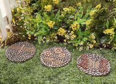 three stepping stones in the grass next to some flowers and plants with yellow flowers behind them