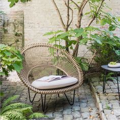 a chair and table sitting next to a tree