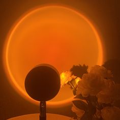 a vase with flowers sitting on top of a table next to a round light fixture