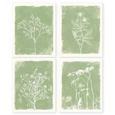 four green and white prints with flowers in the middle, on a light green background