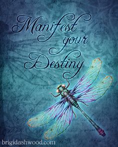 a blue dragonfly with the words, mayfest your blessing