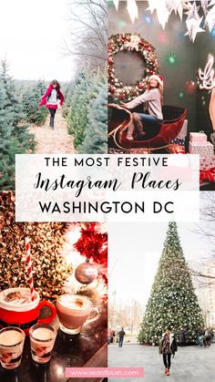 the most festive instagram places in washington dc