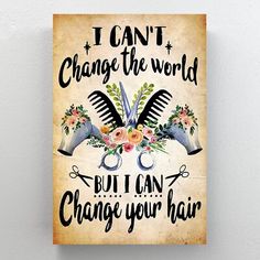 a poster that says i can't change the world but i can change your hair