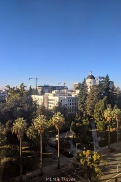 the city skyline with palm trees and buildings in the background