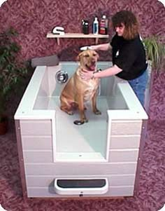 a woman is washing her dog in the sink