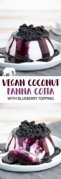 a dessert with blueberry topping is on a white plate and the words vegan coconut panna cota are above it