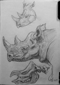 two rhinos are depicted in this drawing