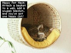 a cat curled up in a basket hanging from the wall on a tweep