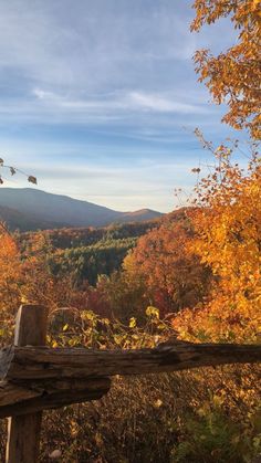 a wooden bench sitting on top of a lush green hillside covered in fall leaves and foliage