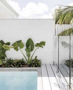 an outdoor swimming pool surrounded by greenery and white brick walls with glass doors on the side