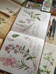 an open book with watercolors and flowers on it sitting on a table next to other books