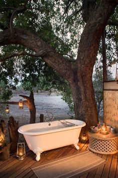 a bath tub sitting on top of a wooden floor next to a tree