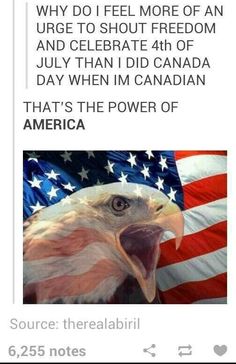 an eagle with the american flag on it's chest and text that reads, why do