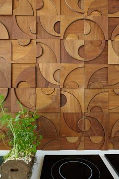 a potted plant sitting in front of a wooden wall