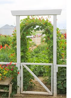 an open gate in the middle of a garden