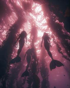 two mermaids swimming in the water with their backs turned to the camera, surrounded by seaweed