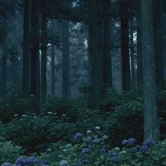 a forest filled with lots of tall trees and purple flowers in the middle of it