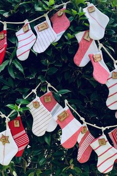 christmas stockings hanging from a tree in front of green leaves